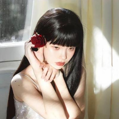 费德勒：最后的12天